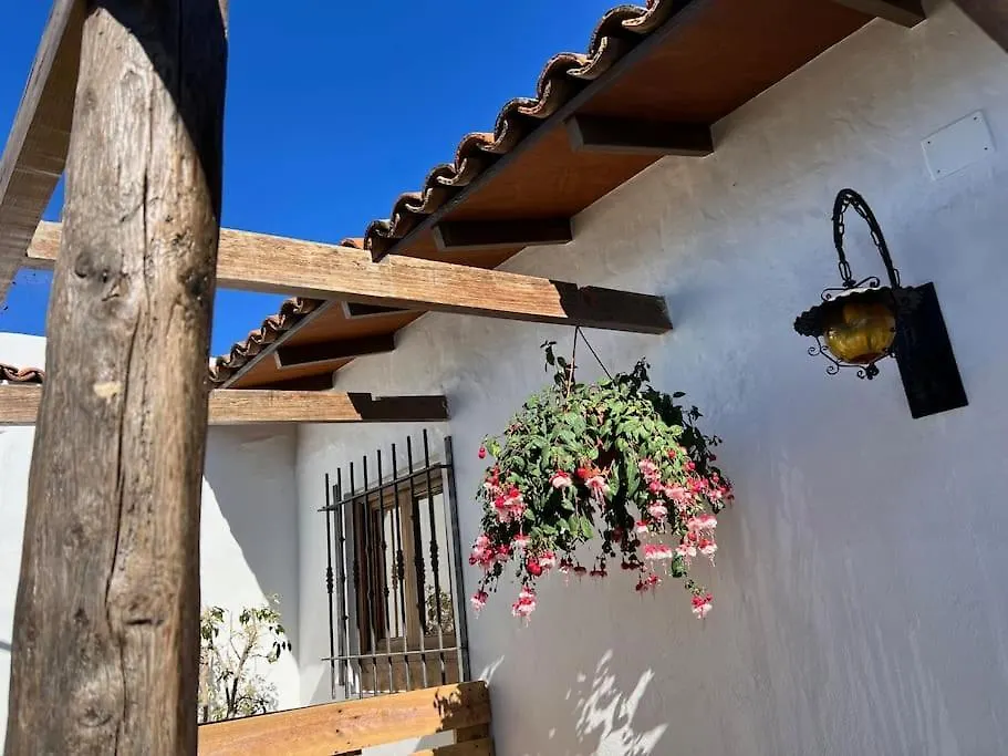 The Zarzamora Canary Little Home Los Realejos