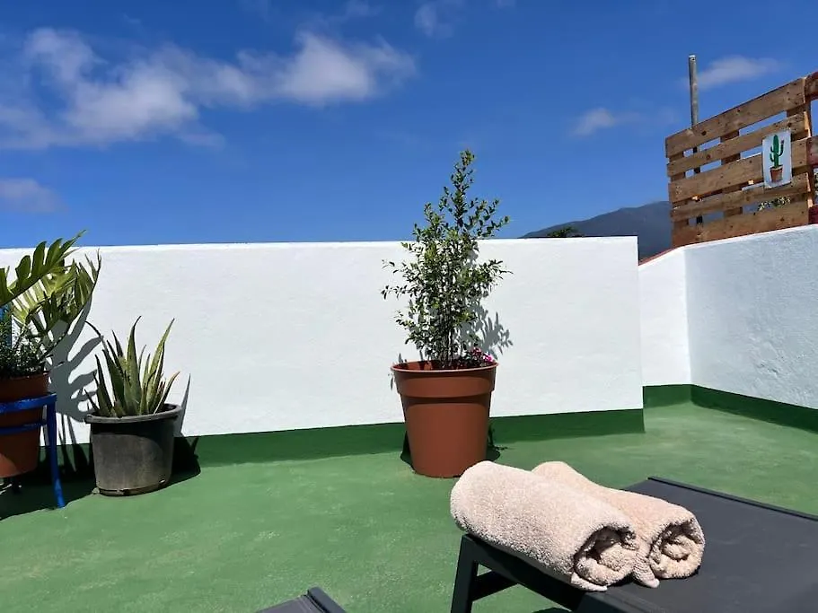 The Zarzamora Canary Little Home Los Realejos