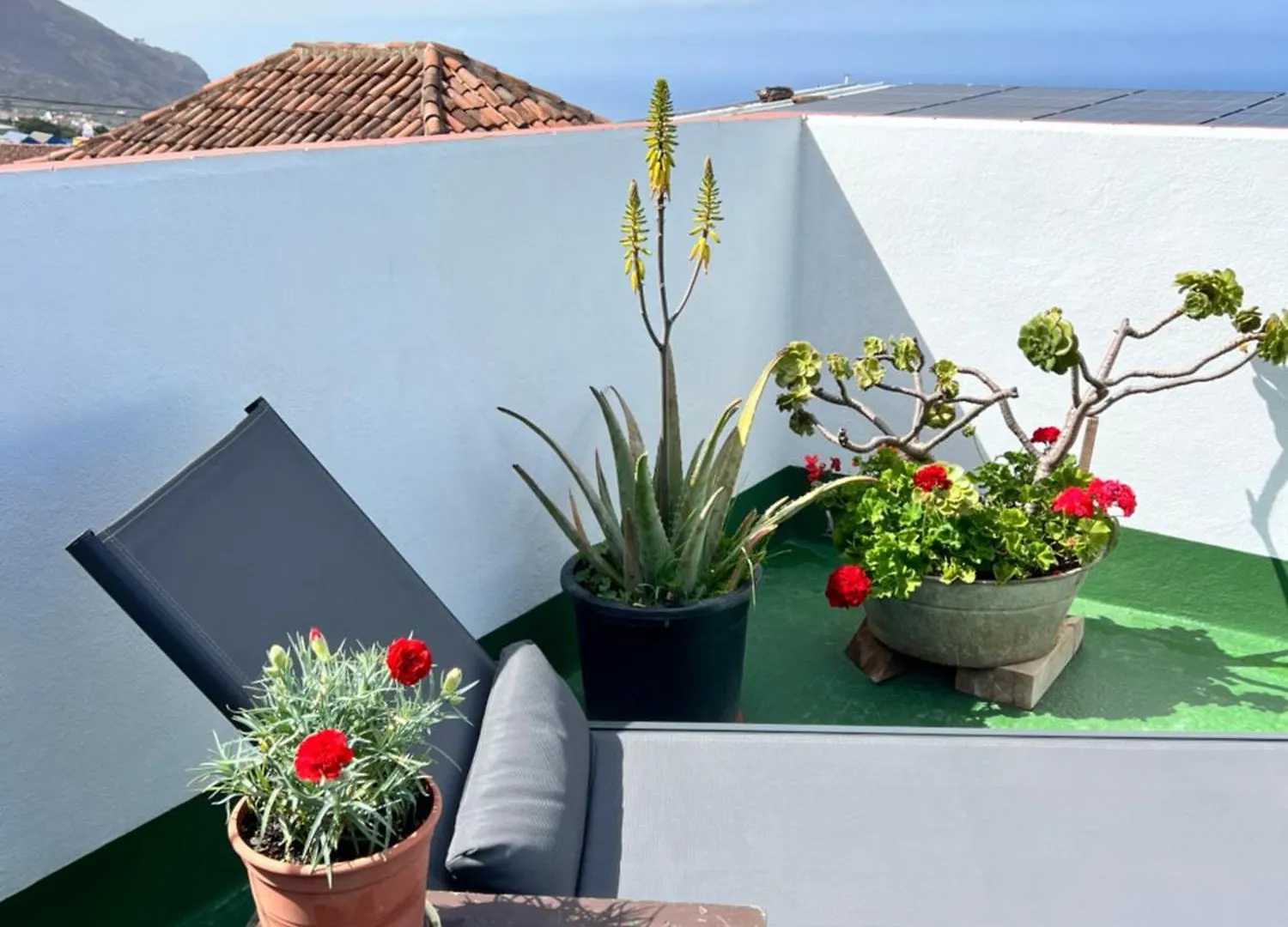 Ferienhaus The Zarzamora Canary Little Home Los Realejos Spanien